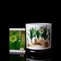 Jingdezhen ceramic large pen holder porch decoration bonsai desktop ornaments narcissus flower pots ice clear jade modern