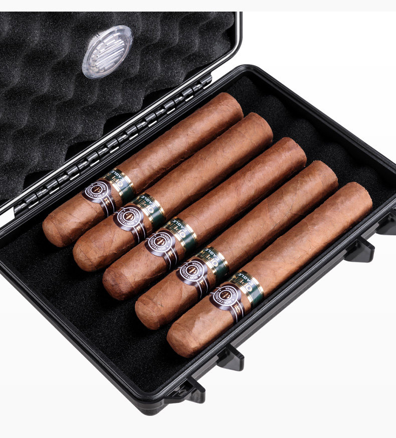 CLA-B0051 --- Желтый Dragon_12.jpg