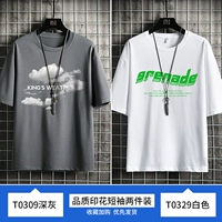 T0309 Deep Grey+T0329 белый