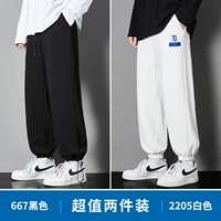 667 черный +2205 белый