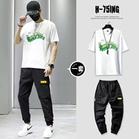 T0183 White + 832 Black