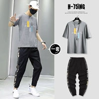 T0212 темно -серый + 818 черный