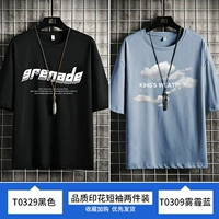 T0329 Black+T0309 Smog Blue