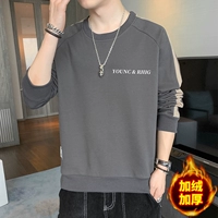 Y8801 Grey Plus Velvet