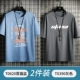 T0620 Smog Blue+T0390 Grey