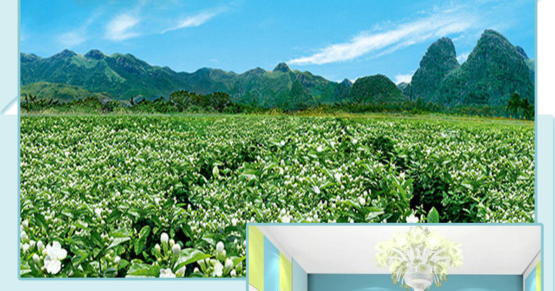 Bougie - Ref 2488374 Image 13