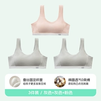 [Избыточное значение 3 штуки] 2 пепела и 1 порошок