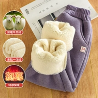 Фиолетовый [вечнозеленый кашемир ягненка]