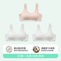 【Значение 3 штуки】 2 белого 1 порошка