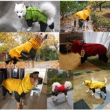 Собака с четырьмя легтя