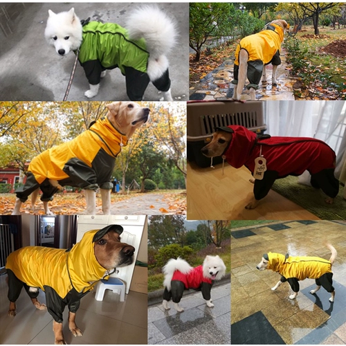 Собака с четырьмя легтя