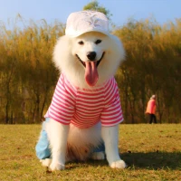 Добавить бархатную розовую красную (выцветшая с недостатками)