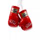 Noboxingnolife Small Boxing Glove Keychain Muay Thai Boxing Decoration Mini Keychain Pendant Car Pendant