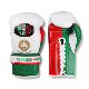 Avalrez Noboxingnolife Boxing Gloves Sanda Adult Men's and Women's Competition Training Lace-Up Gloves