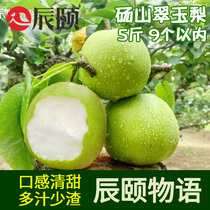 Chen Summers Mountain Cuelo jade pear crisp pear 5 catties 9 less fresh pears When the season is now off the fruit whole box