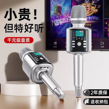 Jinyun H9 Microphone and Speaker Integrated Outdoor Home Karaoke Speaker with Sound Card for Singing Family Ktv