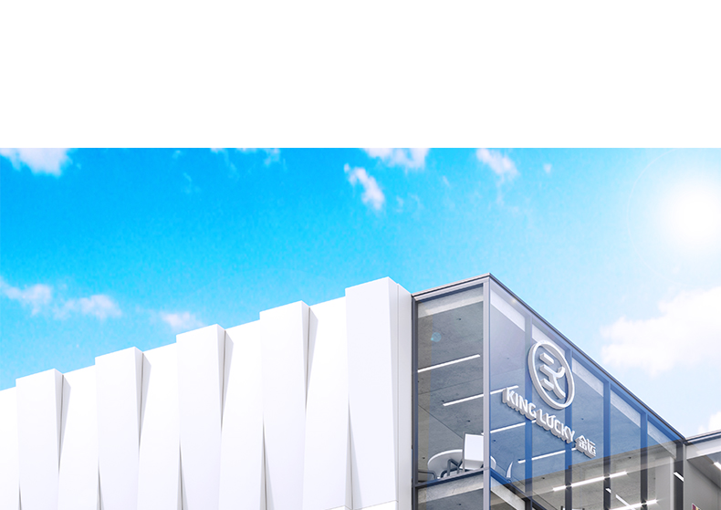 金运话筒音响一体麦克风家庭ktv家用儿童唱歌k全民蓝牙户外声卡机