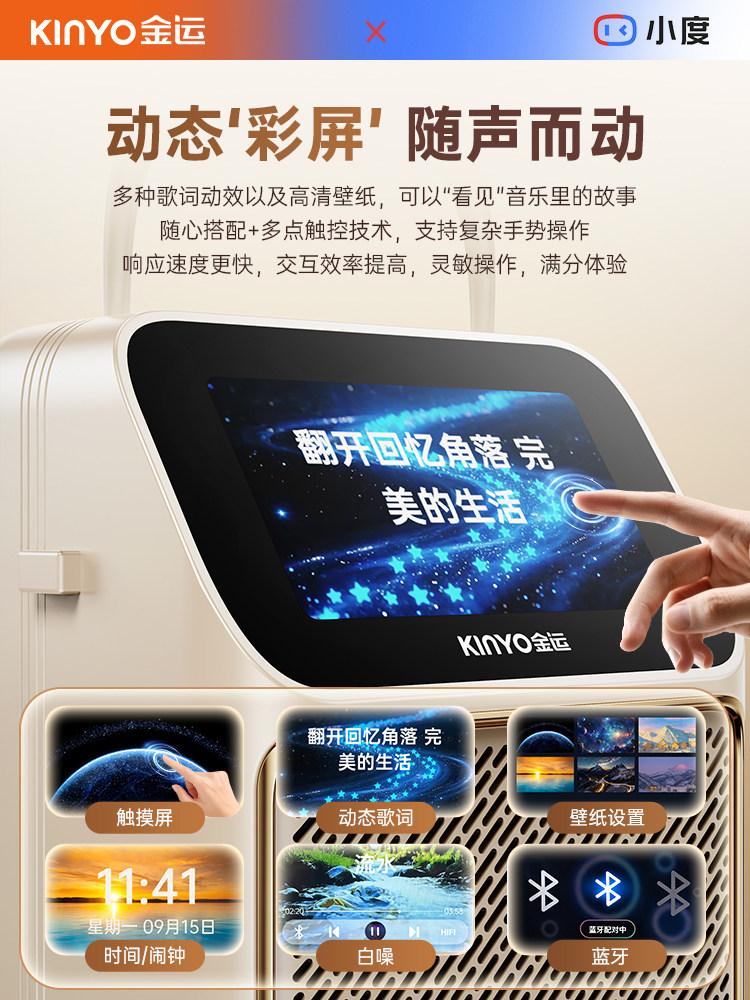 Jinyun K800 Microphone and Speaker Combo for Singing, Home Karaoke Speaker, Family Ktv, Bluetooth Wireless for Parties