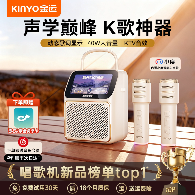 Jinyun k800 динамик с текстами песен домашний микрофон k song встроенный семейный микрофон ktv для пения на открытом воздухе Bluetooth аудио