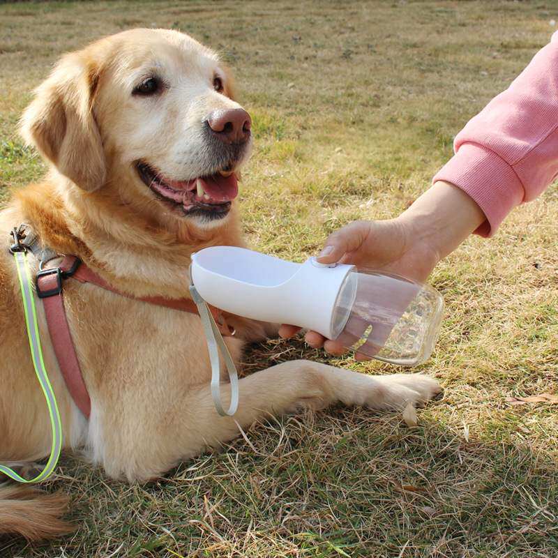 Pet accompanying cup for outing supplies dog outdoor travel pet feeding water fountain pet portable water cup