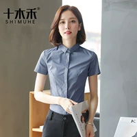 Little воротник серый (короткий рукав)