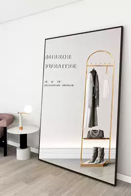 Net Red full body floor mirror thin high photo girl bedroom girl home beauty clothing store full body Mirror