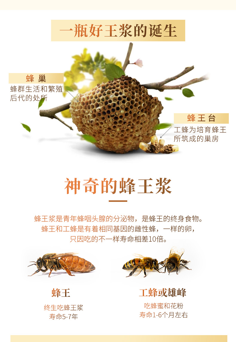 北大荒 东北黑蜂 纯蜂王浆 250g 图3