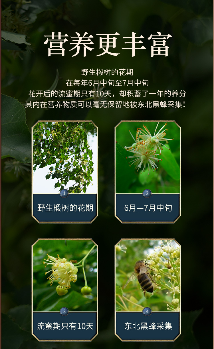 500强 北大荒 天然椴树雪蜜 1000g*2瓶 0糖0防腐剂0抗生素 图4