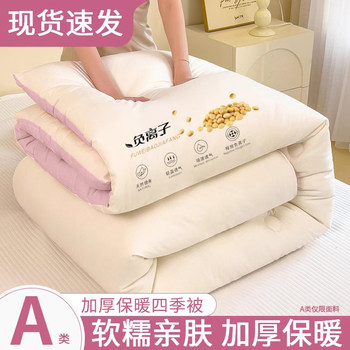 Class a Quilt Core, Winter Quilt, Thickened Warm Cotton Quilt Core, Student Dormitory Single Bed, Suitable for All Seasons, Spring and Autumn