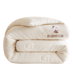 Xinjiang Cotton Quilt, Winter Quilt, Pure Cotton Quilt Core, Thickened for Winter, Warm, Special for Student Dormitories, Single-Person Spring and Autumn Quilt