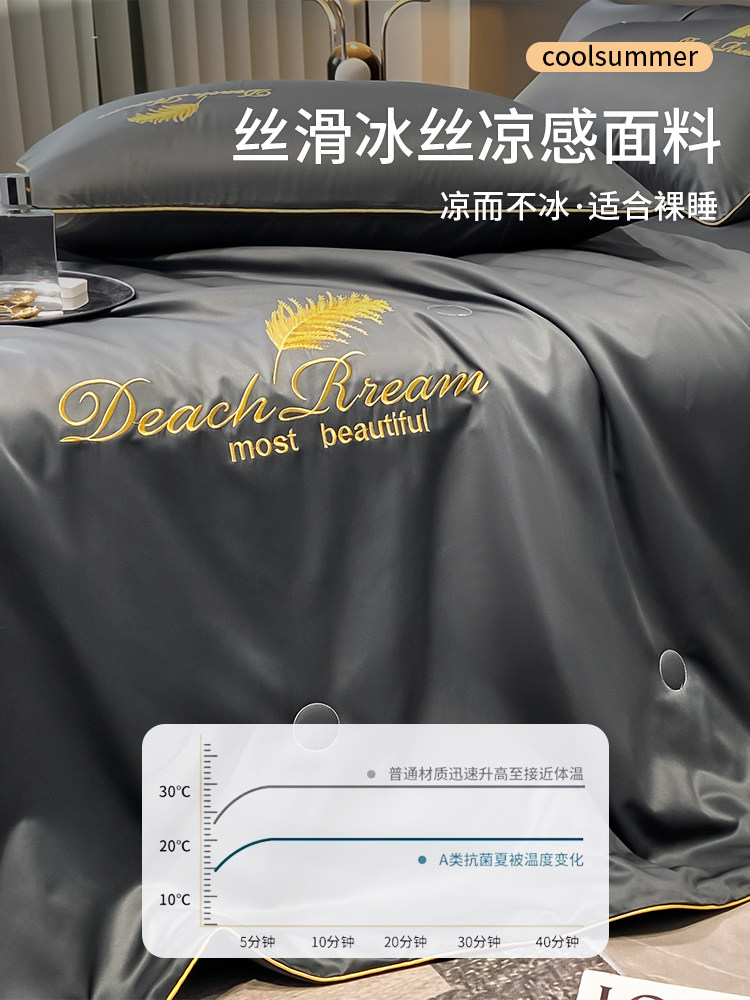 Ice Silk Summer Cooling Quilt Air-Conditioning Quilt Four-Piece Set Student Dormitory Six-Piece Set Air-Conditioning Thin Quilt Complete Set for Summer