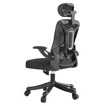 Ergonomic chair computer chair home sedentary comfortable office chair desk study chair waist support seat e-sports chair