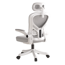 Ergonomic chair waist support home computer chair comfortable sedentary study desk chair office chair backrest gaming chair