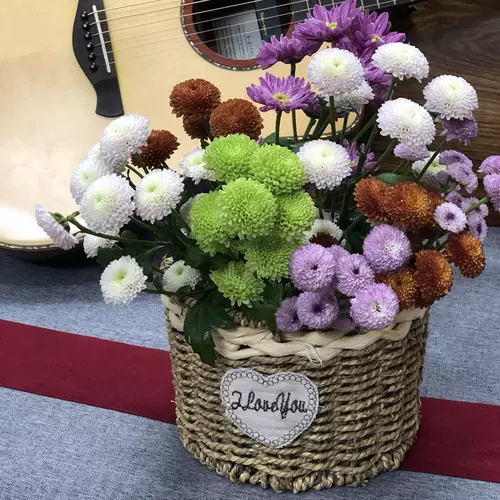 Соломенный креативный цветочный горшок, плетеная портативная корзина