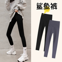 Bilifu shark skin leggings female outer wear spring and autumn black thin section abdomen hips legs pressure Barbie yoga