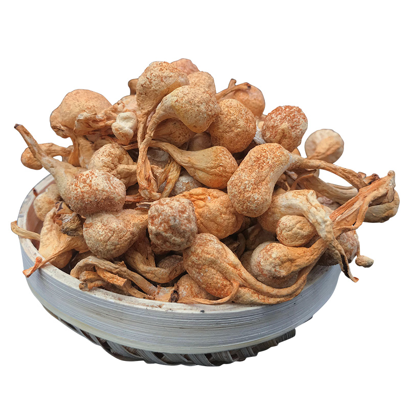 Yunnan selected pupa - worm flower 100g soup material of large spore head bacteria to give gifts of dry goods