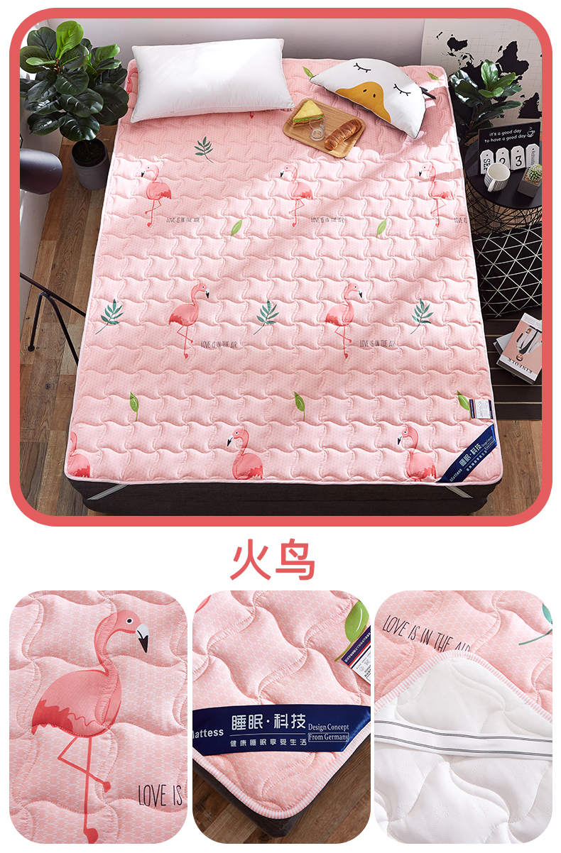 Nệm nhung Bắc cực 1,8m giường bọ cạp đôi bảo vệ chiếu mat đơn 1,5m ký túc xá sinh viên 1,2 m - Nệm đệm lò xo