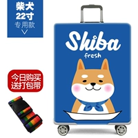 Shiba Inu 22 -Inch Special Model
