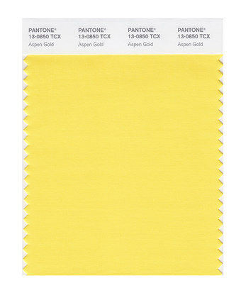 Cotton fabric version Leaflet Color Card PANTONE American Color Pass Clothing Home 13-0850 to 13-1008TCX