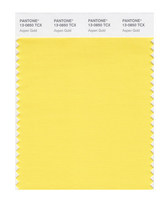 PANTONE PANTONE PANTONE Clothing Home 13-0850 to 13-1008tcx Single Cotton Edition Color Card