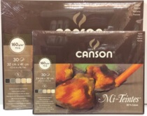 Canson CANSON Midan Mi-Teintes powder painting book powder painting book brown series 160g24x32cm30 sheets