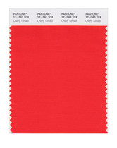 PANTONE PANTONE Clothing Home 17-1563tcx to 17-1736tcx Single Cotton Edition Color Card