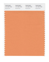 PANTONE PANTONE clothing home 15-1242tcx to 15-1334tcx single cotton plate color card