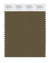 PANTONE PANTONE Clothing Home 19-0622tcx to 19-1102tcx Single Cotton Edition Color Card