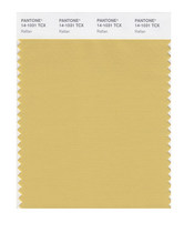 PANTONE Card PANTONE PANTONE Clothing Home 14-1031 to 14-1135tcx Single Cotton Cloth Color Card