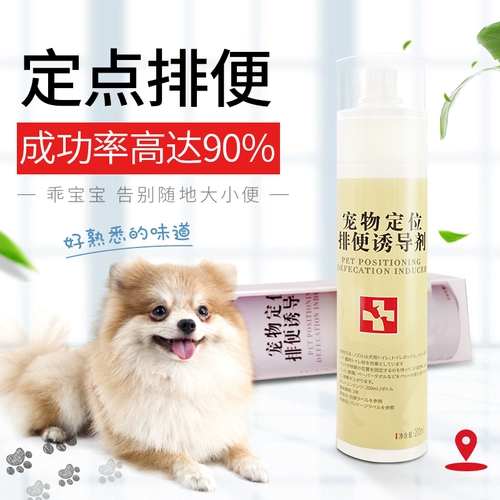 Индукционный агент поставляет домашних животных, чтобы побудить туалет туалета для туалета для собак, чтобы найти и исправить дерьмо, чтобы направлять