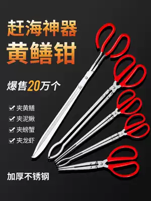 Stainless steel eel clip Eel clip Loach crab pliers non-slip anti-take-off capture special tool to catch the Poseidon device