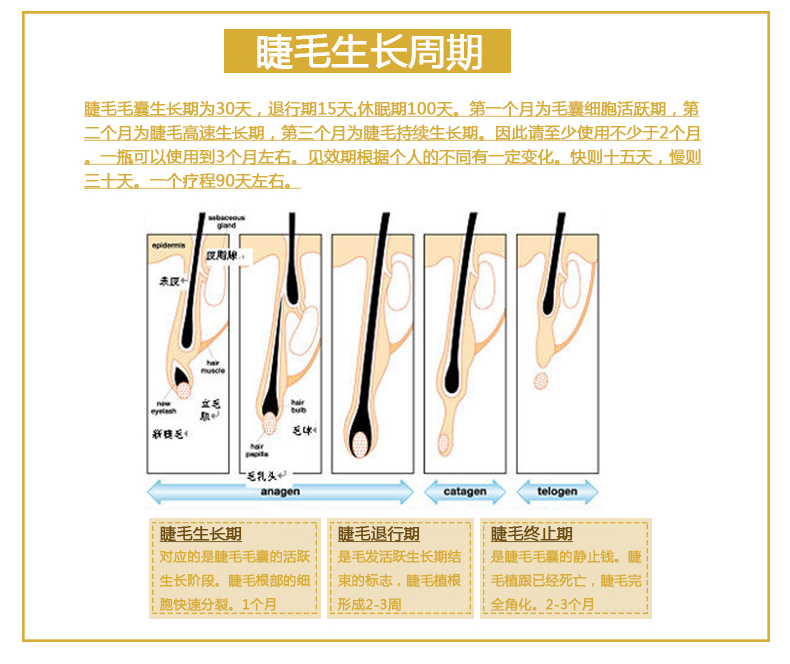 Nhật bản tại chỗ CANMAKE lông mi tăng trưởng chất lỏng dinh dưỡng giải pháp dài dinh dưỡng sửa chữa cơ sở kem chính hãng mascara đầu nhỏ