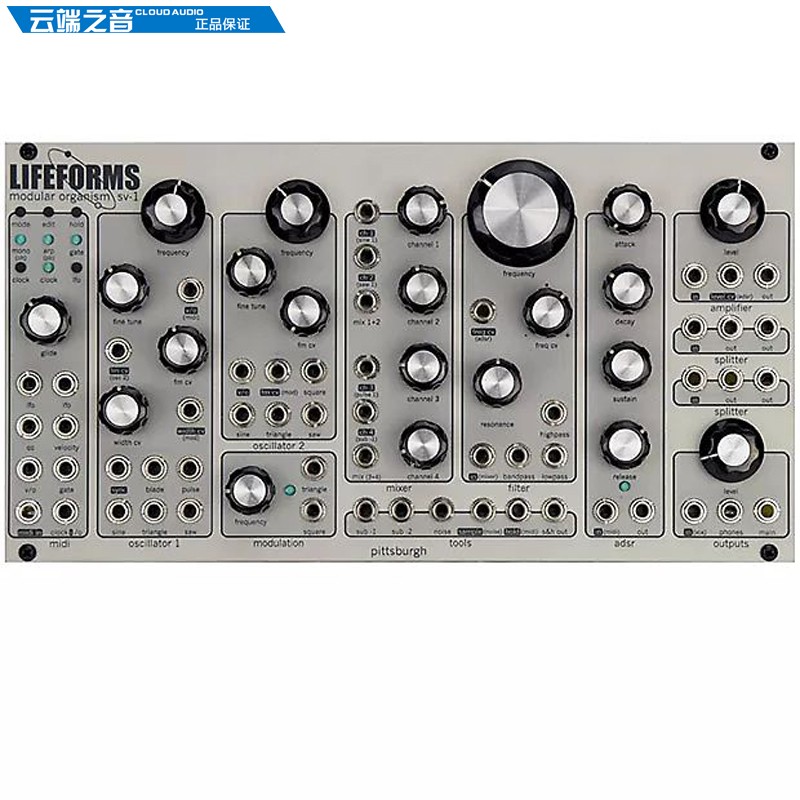 Mô-đun tổng hợp mô-đun Pittsburgh-Modular SV-1 - Bộ tổng hợp điện tử mua piano điện