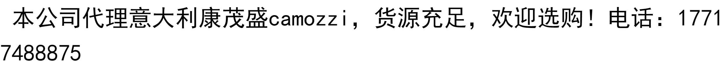 Цилиндр 康茂胜/康茂盛camozzi气缸 25n2a25a100 24n2a16a010 16n2a10a050